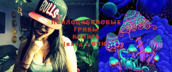 прущий лед Бородино