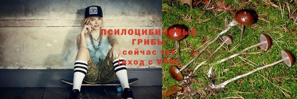 гашик Верхний Тагил